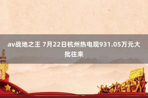 av战地之王 7月22日杭州热电现931.05万元大批往来