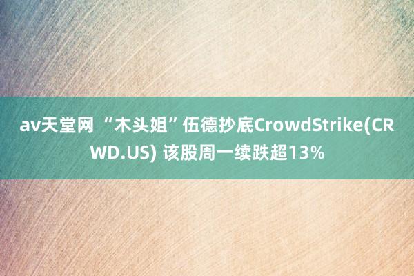 av天堂网 “木头姐”伍德抄底CrowdStrike(CRWD.US) 该股周一续跌超13%