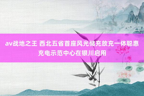 av战地之王 西北五省首座风光储充放充一体聪惠充电示范中心在银川启用