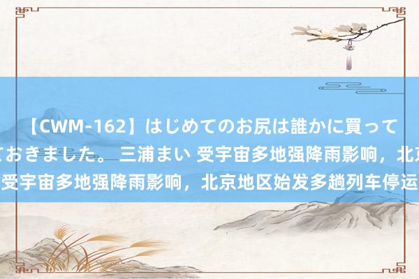 【CWM-162】はじめてのお尻は誰かに買って欲しくて今日までとっておきました。 三浦まい 受宇宙多地强降雨影响，北京地区始发多趟列车停运