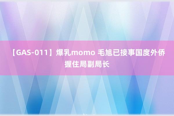 【GAS-011】爆乳momo 毛旭已接事国度外侨握住局副局长