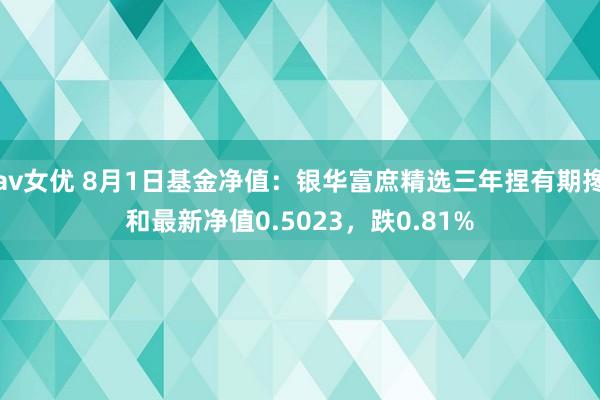 av女优 8月1日基金净值：银华富庶精选三年捏有期搀和最新净值0.5023，跌0.81%