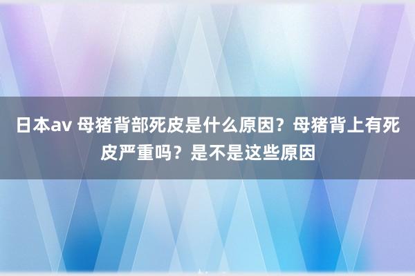 日本av 母猪背部死皮是什么原因？母猪背上有死皮严重吗？是不是这些原因