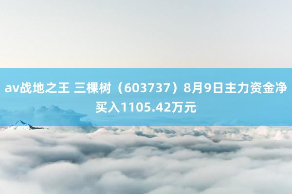 av战地之王 三棵树（603737）8月9日主力资金净买入1105.42万元