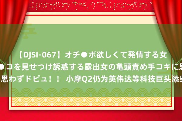 【DJSI-067】オチ●ポ欲しくて発情する女たち ところ構わずオマ●コを見せつけ誘惑する露出女の亀頭責め手コキに思わずドピュ！！ 小摩Q2仍为英伟达等科技巨头添柴 大举加仓满帮等中概股