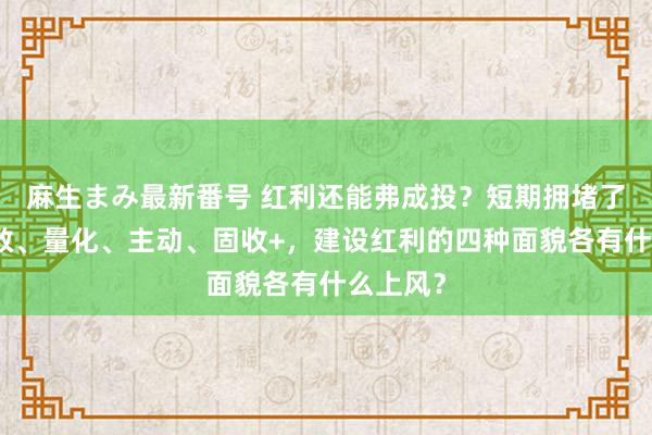 麻生まみ最新番号 红利还能弗成投？短期拥堵了吗？指数、量化、主动、固收+，建设红利的四种面貌各有什么上风？