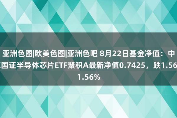 亚洲色图|欧美色图|亚洲色吧 8月22日基金净值：中原国证半导体芯片ETF聚积A最新净值0.7425，跌1.56%