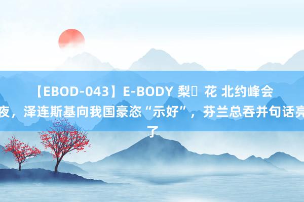 【EBOD-043】E-BODY 梨々花 北约峰会前夜，泽连斯基向我国豪恣“示好”，芬兰总吞并句话亮了