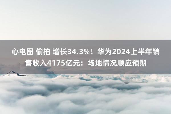 心电图 偷拍 增长34.3%！华为2024上半年销售收入4175亿元：场地情况顺应预期