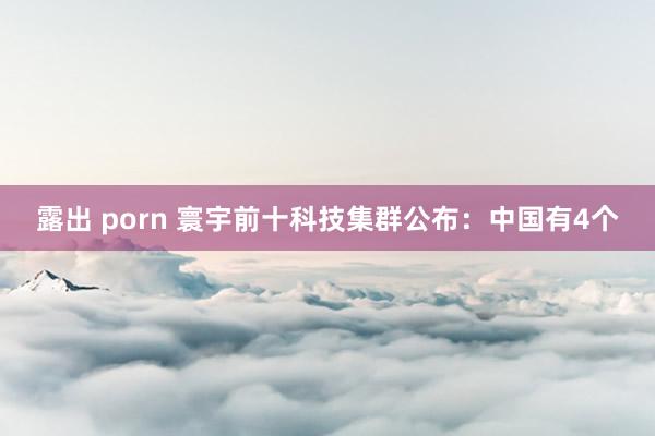 露出 porn 寰宇前十科技集群公布：中国有4个