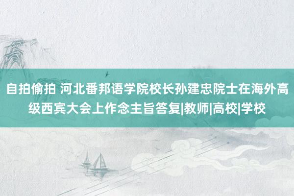 自拍偷拍 河北番邦语学院校长孙建忠院士在海外高级西宾大会上作念主旨答复|教师|高校|学校