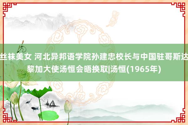 丝袜美女 河北异邦语学院孙建忠校长与中国驻哥斯达黎加大使汤恒会晤换取|汤恒(1965年)