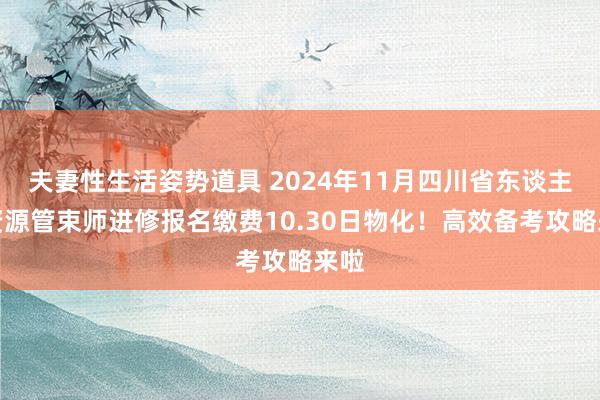 夫妻性生活姿势道具 2024年11月四川省东谈主力资源管束师进修报名缴费10.30日物化！高效备考攻略来啦