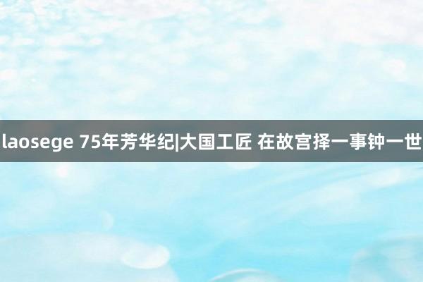 laosege 75年芳华纪|大国工匠 在故宫择一事钟一世