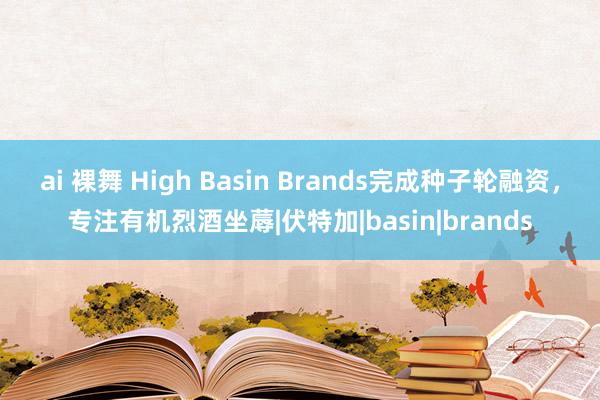 ai 裸舞 High Basin Brands完成种子轮融资，专注有机烈酒坐蓐|伏特加|basin|brands