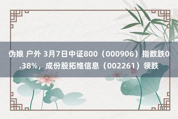 伪娘 户外 3月7日中证800（000906）指数跌0.38%，成份股拓维信息（002261）领跌